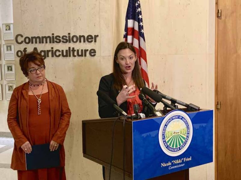 Florida Has Its First Cannabis Director