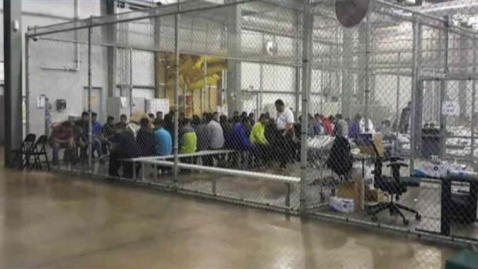 mstsflbrowpbr undocumented immigrants detention center