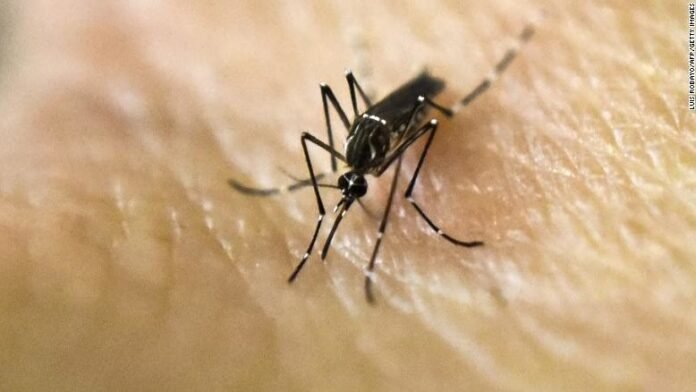 cropped-florida-west-nile-mosquito.jpg