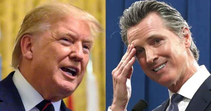 donald-trump-california-governor