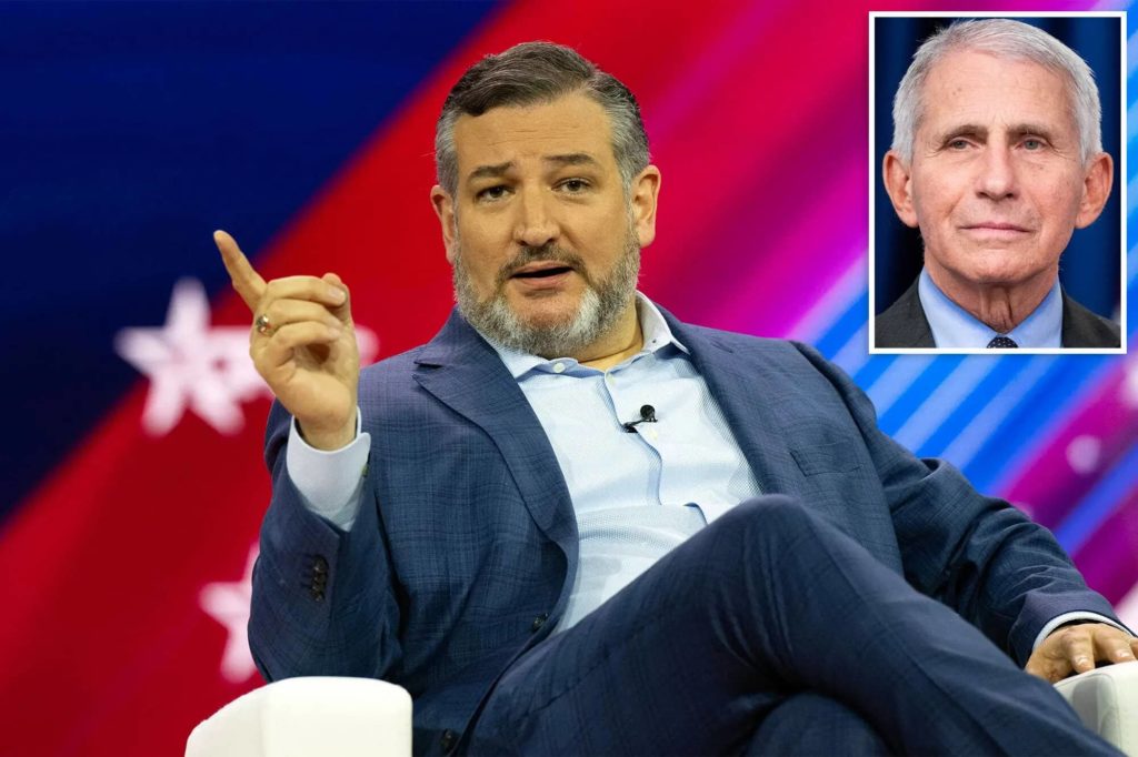 Ted Cruz: Anthony Fauci should go to jail for lying about Covid Ted Cruz: Anthony Fauci should go to jail for lying about Covid