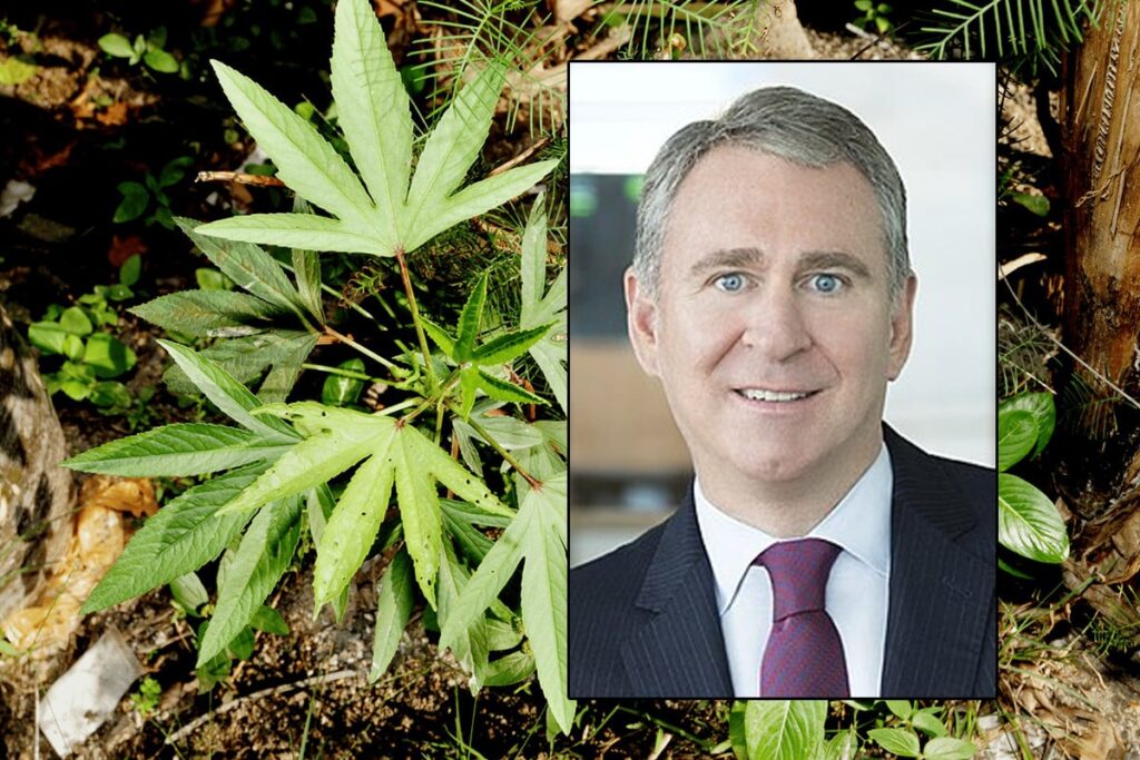 Hedge Fund Billionaire Donates $12 Million to Stop Florida Marijuana Legalization