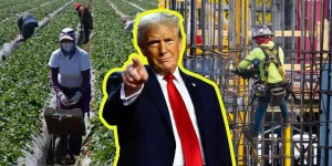 Workers in a strawberry field and a construction site, showcasing the diverse labor force in agriculture and construction industries.