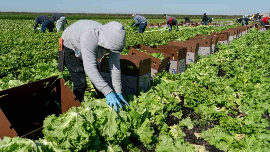 Florida Republicans Request $3.5 Billion Agriculture Aid Package for Farmers Florida farmers and specialty crop producers could receive support through a proposed $3.5 billion agriculture aid package.