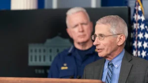 Dr. Anthony Fauci speaks during a White House Coronavirus Task Force briefing in 2020.