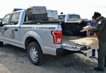 FWC Faces Questions Over Driver-Database Searches of Florida Wildlife Critics Florida FWC officer and sea turtle volunteer beside an agency law-enforcement vehicle