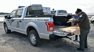 Florida FWC officer and sea turtle volunteer beside an agency law-enforcement vehicle