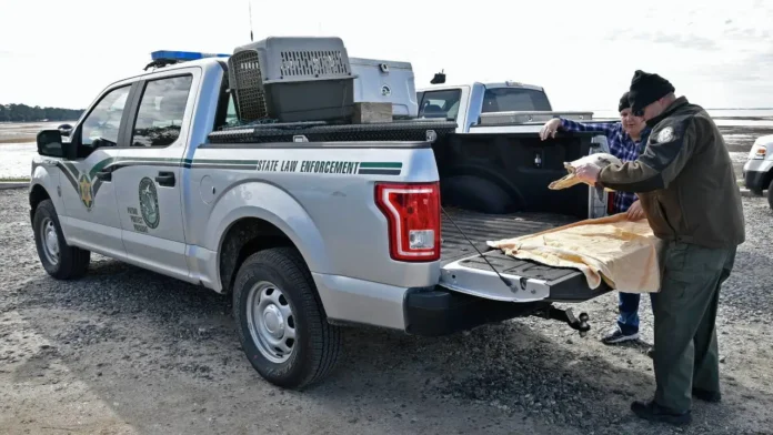 Florida FWC officer and sea turtle volunteer beside an agency law-enforcement vehicle